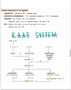 a diagram with words written on it in blue and green ink, next to a handwritten text that reads raas system