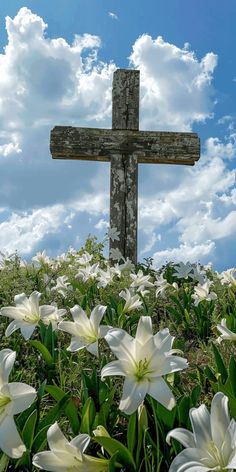 a wooden cross sitting in the middle of a field full of white lilies under a blue sky with clouds