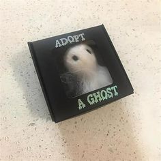 a black and white animal in a box on a table with the caption adopt a ghost