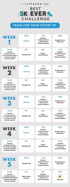 the ultimate guide to train for your first 5 days infographical poster by livestronics com