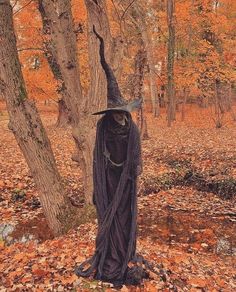 a scarecrow dressed in black standing next to a tree with orange leaves on the ground