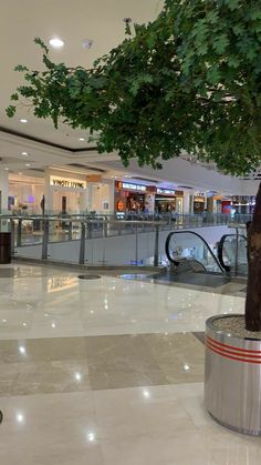 an empty shopping mall with a tree in the middle and luggage carousels on the other side