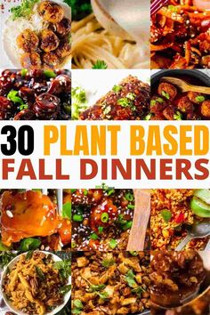 30 Plant Based Fall Weeknight Dinners Healthy Fall Dinners For Two, Veggie Packed Fall Dinners, Fall Dinner Vegetarian Recipes, Crockpot Recipes Plant Based, Fall Comfort Food Vegetarian, Plant Based Fall Meals, Plant Based Fall Dinner Recipes, Vegan Dinner Fall Recipes, Fall Veggie Meals