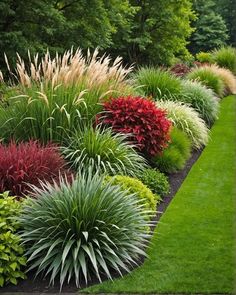 a garden filled with lots of different types of flowers and plants on top of green grass