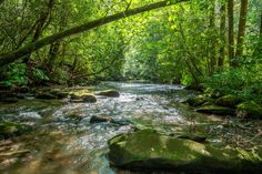 Secluded Creekside Cabin Ellijay | Melody Creek Cabin