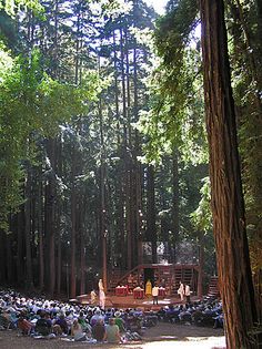 a group of people sitting on the ground in front of a forest filled with trees