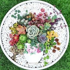 a white bowl filled with lots of different types of flowers on top of green grass