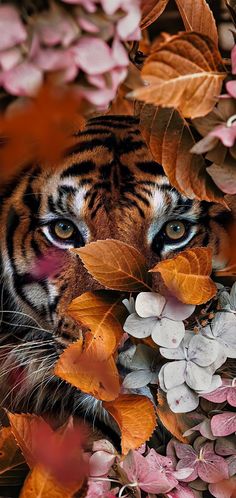 a tiger hiding behind some leaves and flowers