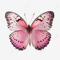 a pink butterfly with black spots on it's wings, flying in the air