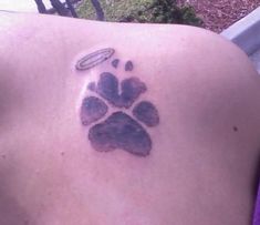 a dog paw tattoo on the back of a person's shoulder