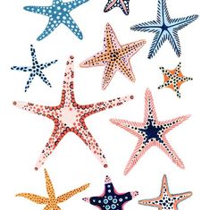 six starfishs with different colors and patterns on them, all arranged in the same pattern