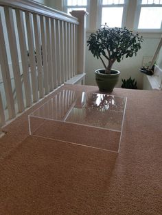 a glass table with a potted plant on top