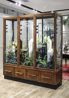 a display case filled with lots of plants in a room next to a red rug