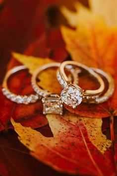 two wedding rings sitting on top of an autumn leaf covered ground with leaves surrounding them