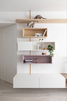 a shelf with books and plants on it next to a cat laying on top of the bookcase