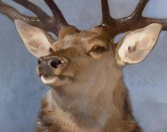 a painting of a deer with antlers on it's head