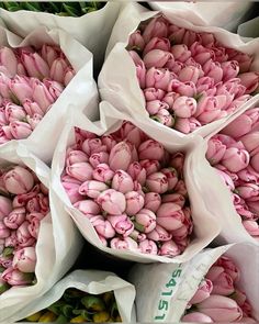 pink tulips are wrapped in white paper and ready to be picked from the market