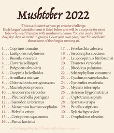 a poster with the words mushtober on it's front and back