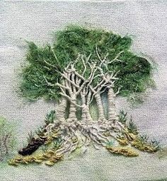 an image of a tree with many roots