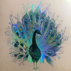 a peacock with feathers on it's back