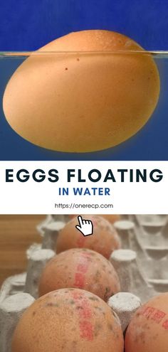 eggs floating in water with the caption saying, eggs floating in water and an image of