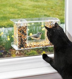 a black cat looking at a bird feeder on the window sill in front of it