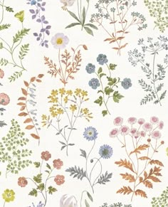 a bunch of flowers on a white background