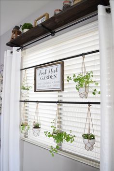 some plants are hanging on the window sill