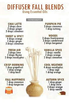 Fall smells Lilin Aroma, Essential Oil Blends Recipes, Living Essentials Oils, Diffuser Recipes