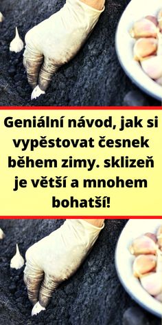 there are two plates with food on them and the words in russian mean to eat