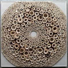 an image of a circular object made out of wood sticks and other things on the screen