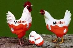 two red and white chickens standing next to each other with the words water written on them