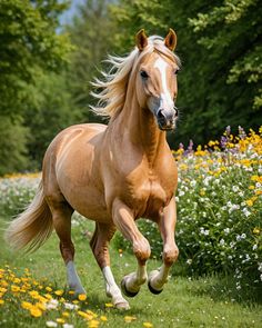 a brown horse running through a field of flowers