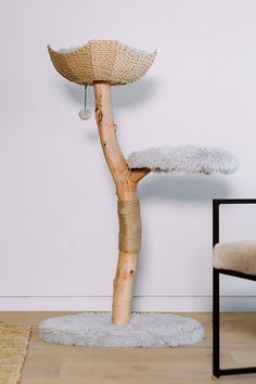 a tree that has some kind of thing on it's trunk in the middle of a room