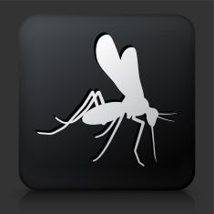 an image of a mosquito on a black square button