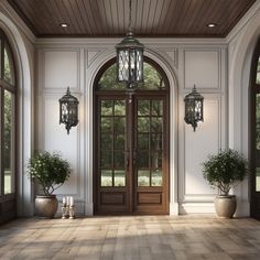 an empty room with two large doors and three potted plants on the front porch