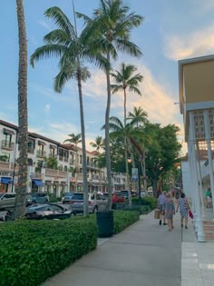 a clock on the side of a sidewalk next to some palm trees and parked cars