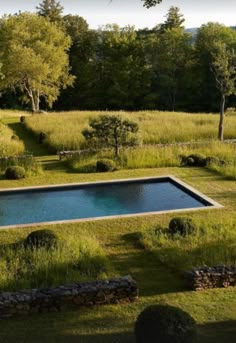 an aerial view of a pool in the middle of a grassy area with trees and bushes