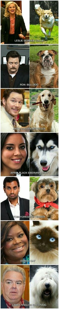 many different pictures of dogs and people with their faces in the same photo, one is smiling