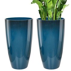 two blue vases with plants in them sitting side by side on a white background