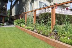 a fenced in garden area with lots of plants and flowers growing on the side