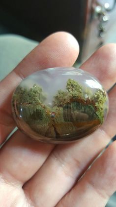 a hand holding a glass ball with trees in the middle and water on it's surface