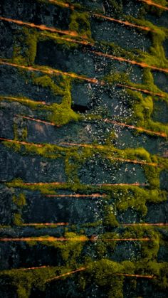 an abstract photograph of moss growing on the side of a brick wall with orange and green streaks