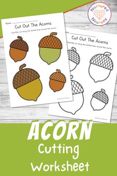 the acorn cutting worksheet is shown with text that reads cut out the acorns