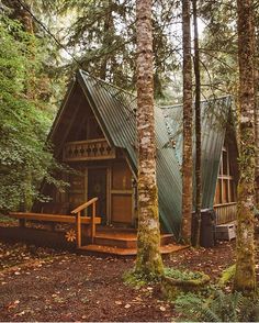 a small cabin nestled in the woods surrounded by tall trees and greenery with stairs leading up to it