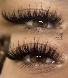 Natural Fake Eyelashes, Best Lash Extensions, Lashes Fake Eyelashes, Eyelash Tips, Lash Extensions Makeup, Eyelash Extensions Styles, Perfect Eyelashes, Pretty Lashes, Makeup For Black Skin