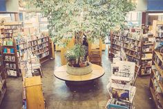 Skylight books Book Shops, Indie Bookstore, Book Stores, Book Cafe, Reading Rainbow, Latest News Today, New Earth, Toddler Books, 50 States