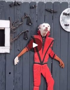 a man in red jumpsuit standing next to a wooden wall with a dog on it