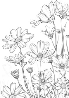 a black and white drawing of flowers