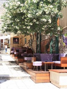 an outdoor seating area with tables and chairs under a tree in front of a building